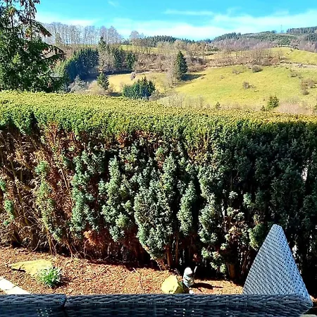 Aartalblick Willingen Apartment